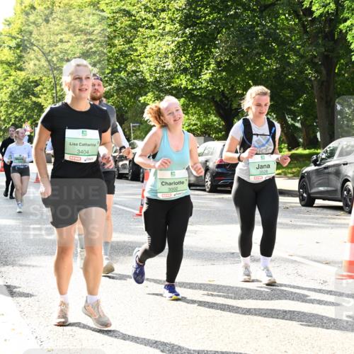 20.09.2026 - PSD Bank Halbmarathon Dr. Thomas Lammeyer http://msf.ph/oto/10509081 20.09.2026 11:05:21 Laufen 3404, 3528, 3002 meine-sportfotos.de