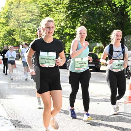 20.09.2026 - PSD Bank Halbmarathon Dr. Thomas Lammeyer http://msf.ph/oto/10509092 20.09.2026 11:05:21 Laufen 3404, 3002, 3528 meine-sportfotos.de