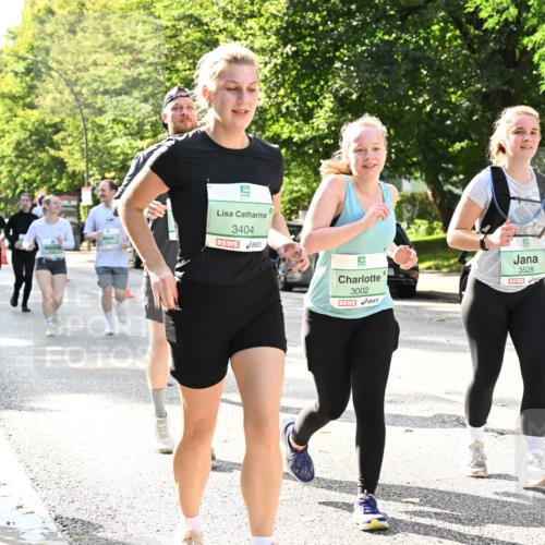 20.09.2026 - PSD Bank Halbmarathon Dr. Thomas Lammeyer http://msf.ph/oto/10509096 20.09.2026 11:05:21 Laufen 3404, 3528, 3002 meine-sportfotos.de