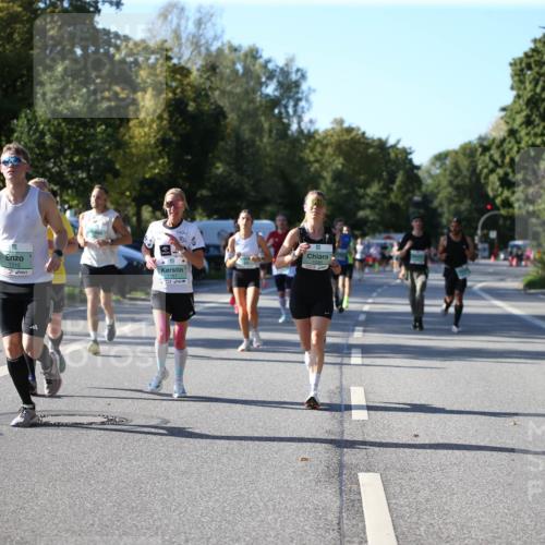 20.09.2026 - PSD Bank Halbmarathon Jannik Wohlers http://msf.ph/oto/10509162 20.09.2026 10:25:26 Laufen 1310 meine-sportfotos.de