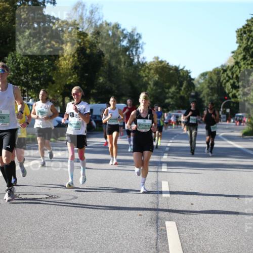 20.09.2026 - PSD Bank Halbmarathon Jannik Wohlers http://msf.ph/oto/10509167 20.09.2026 10:25:26 Laufen 1310 meine-sportfotos.de
