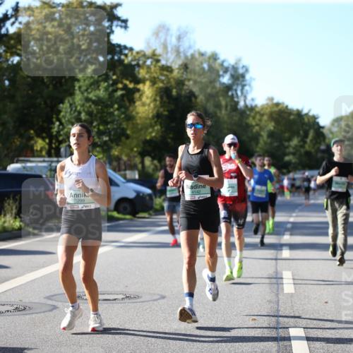 20.09.2026 - PSD Bank Halbmarathon Jannik Wohlers http://msf.ph/oto/10509187 20.09.2026 10:25:29 Laufen 3299, 4142 meine-sportfotos.de