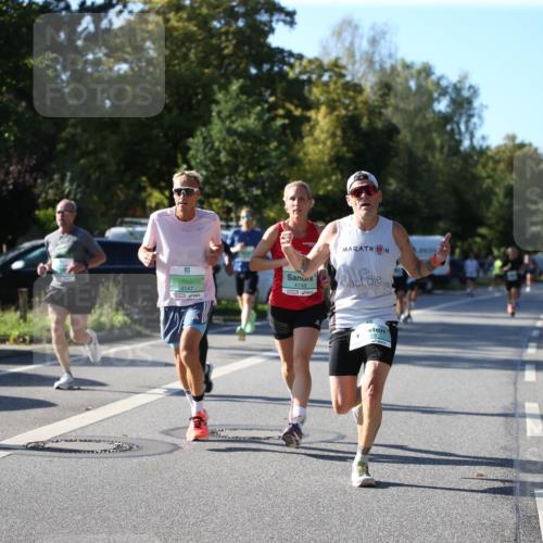 20.09.2026 - PSD Bank Halbmarathon Jannik Wohlers http://msf.ph/oto/10509395 20.09.2026 10:26:04 Laufen 4147, 4148, 19 meine-sportfotos.de