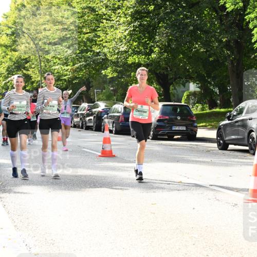20.09.2026 - PSD Bank Halbmarathon Dr. Thomas Lammeyer http://msf.ph/oto/10509396 20.09.2026 11:05:41 Laufen 3336, 1551, 4683 meine-sportfotos.de