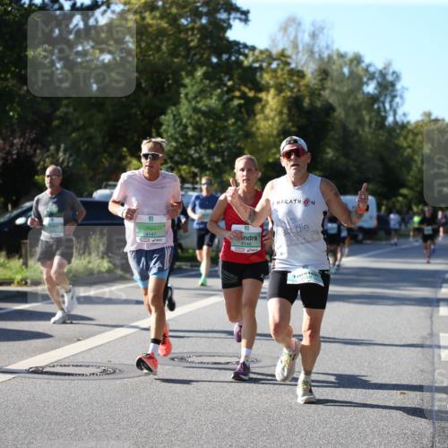 20.09.2026 - PSD Bank Halbmarathon Jannik Wohlers http://msf.ph/oto/10509400 20.09.2026 10:26:04 Laufen 4147, 4148 meine-sportfotos.de