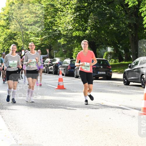 20.09.2026 - PSD Bank Halbmarathon Dr. Thomas Lammeyer http://msf.ph/oto/10509404 20.09.2026 11:05:41 Laufen 1551, 4683 meine-sportfotos.de