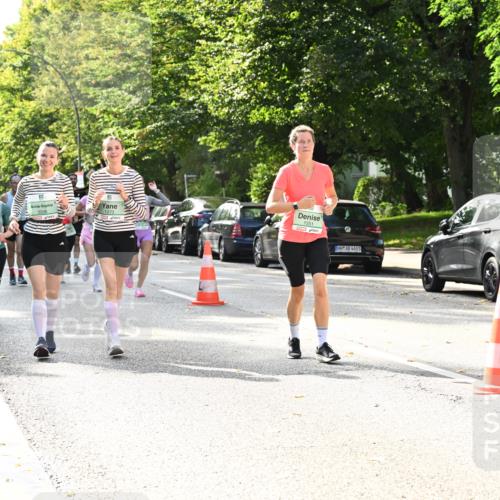 20.09.2026 - PSD Bank Halbmarathon Dr. Thomas Lammeyer http://msf.ph/oto/10509408 20.09.2026 11:05:41 Laufen 3336, 1551, 4683 meine-sportfotos.de