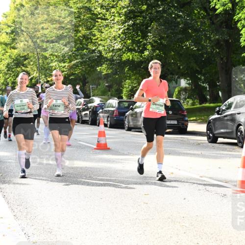 20.09.2026 - PSD Bank Halbmarathon Dr. Thomas Lammeyer http://msf.ph/oto/10509412 20.09.2026 11:05:41 Laufen 3336, 1273, 1551, 4683 meine-sportfotos.de