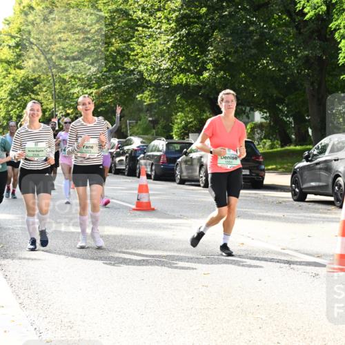 20.09.2026 - PSD Bank Halbmarathon Dr. Thomas Lammeyer http://msf.ph/oto/10509414 20.09.2026 11:05:41 Laufen 3336, 1273, 1551, 4683 meine-sportfotos.de