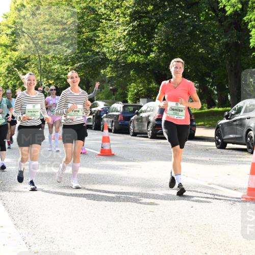 20.09.2026 - PSD Bank Halbmarathon Dr. Thomas Lammeyer http://msf.ph/oto/10509423 20.09.2026 11:05:42 Laufen 2811, 3336, 1273, 1551 meine-sportfotos.de