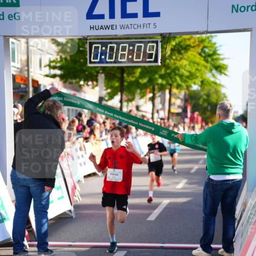 20.09.2026 - PSD Bank Halbmarathon LAZAROV Photography http://msf.ph/oto/10509426 20.09.2026 10:27:34 Laufen 5, 0, 08, 09 meine-sportfotos.de