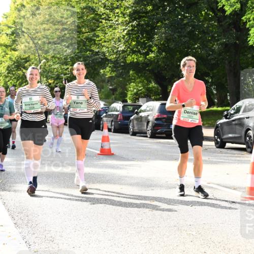 20.09.2026 - PSD Bank Halbmarathon Dr. Thomas Lammeyer http://msf.ph/oto/10509430 20.09.2026 11:05:42 Laufen 3336, 1273, 1551 meine-sportfotos.de