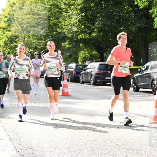 20.09.2026 - PSD Bank Halbmarathon Dr. Thomas Lammeyer http://msf.ph/oto/10509435 20.09.2026 11:05:42 Laufen 3336, 1273, 1551 meine-sportfotos.de