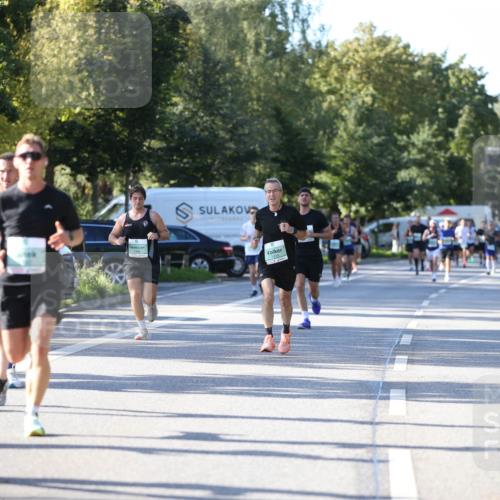 20.09.2026 - PSD Bank Halbmarathon Jannik Wohlers http://msf.ph/oto/10509440 20.09.2026 10:26:09 Laufen 1915 meine-sportfotos.de