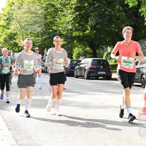20.09.2026 - PSD Bank Halbmarathon Dr. Thomas Lammeyer http://msf.ph/oto/10509445 20.09.2026 11:05:42 Laufen 2811, 5, 3336, 1273, 4683, 1551 meine-sportfotos.de