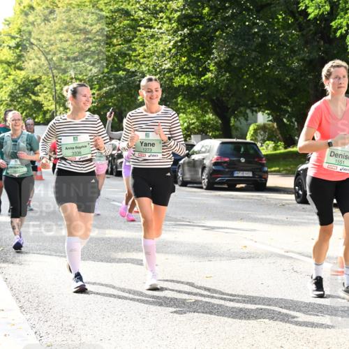 20.09.2026 - PSD Bank Halbmarathon Dr. Thomas Lammeyer http://msf.ph/oto/10509450 20.09.2026 11:05:43 Laufen 2811, 5, 3336, 1273, 1551 meine-sportfotos.de