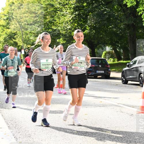 20.09.2026 - PSD Bank Halbmarathon Dr. Thomas Lammeyer http://msf.ph/oto/10509454 20.09.2026 11:05:43 Laufen 2811, 3336, 1273, 1551 meine-sportfotos.de