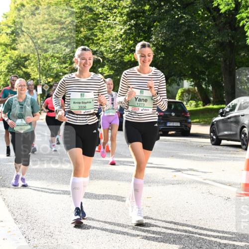 20.09.2026 - PSD Bank Halbmarathon Dr. Thomas Lammeyer http://msf.ph/oto/10509459 20.09.2026 11:05:43 Laufen 2811, 3336, 1273, 1551 meine-sportfotos.de