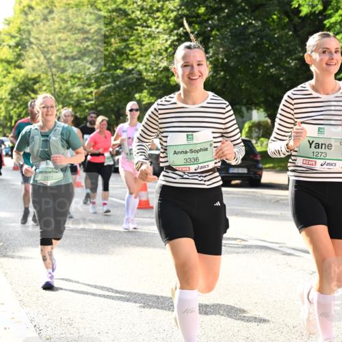 20.09.2026 - PSD Bank Halbmarathon Dr. Thomas Lammeyer http://msf.ph/oto/10509487 20.09.2026 11:05:44 Laufen 3336, 2811, 1273 meine-sportfotos.de