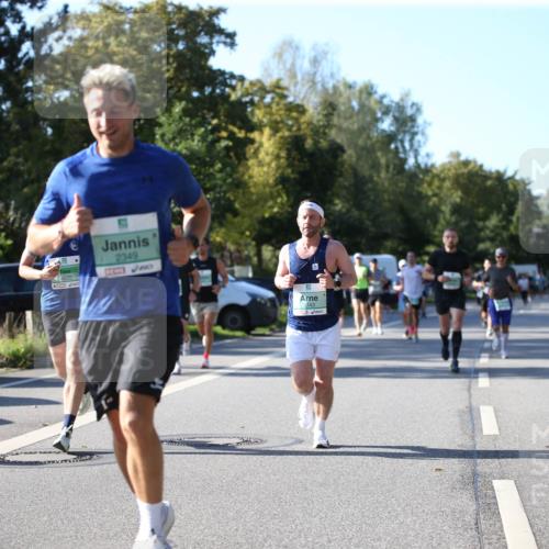 20.09.2026 - PSD Bank Halbmarathon Jannik Wohlers http://msf.ph/oto/10509562 20.09.2026 10:26:26 Laufen 4620, 2349, 3743 meine-sportfotos.de