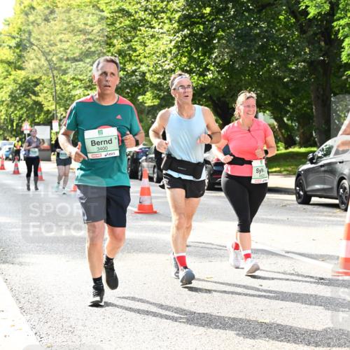 20.09.2026 - PSD Bank Halbmarathon Dr. Thomas Lammeyer http://msf.ph/oto/10509564 20.09.2026 11:05:47 Laufen 3400, 4431, 1408 meine-sportfotos.de