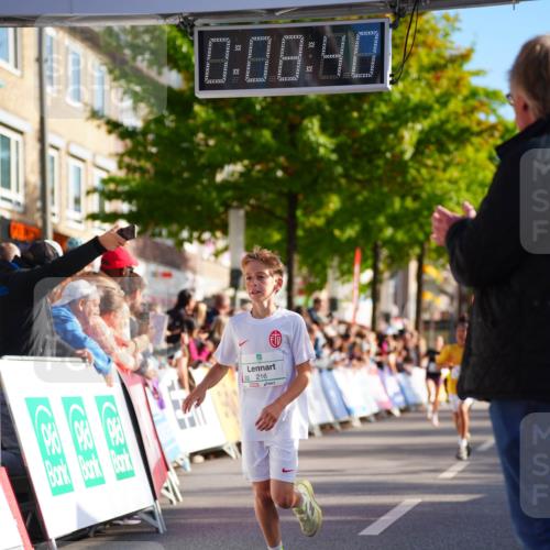 20.09.2026 - PSD Bank Halbmarathon LAZAROV Photography http://msf.ph/oto/10509579 20.09.2026 10:28:04 Laufen 0, 08, 40, 216 meine-sportfotos.de