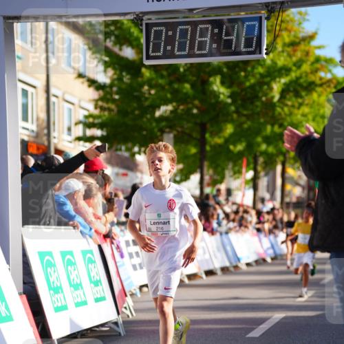 20.09.2026 - PSD Bank Halbmarathon LAZAROV Photography http://msf.ph/oto/10509584 20.09.2026 10:28:04 Laufen 0, 08, 40 meine-sportfotos.de