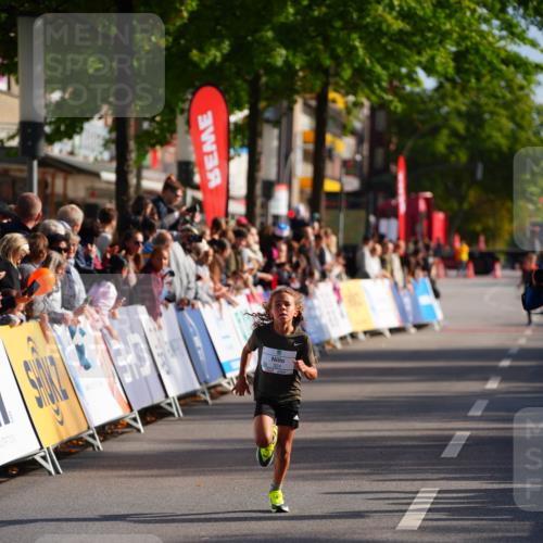 20.09.2026 - PSD Bank Halbmarathon LAZAROV Photography http://msf.ph/oto/10509735 20.09.2026 10:28:27 Laufen  meine-sportfotos.de