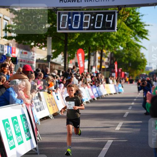 20.09.2026 - PSD Bank Halbmarathon LAZAROV Photography http://msf.ph/oto/10509756 20.09.2026 10:28:28 Laufen 0, 09, 04 meine-sportfotos.de