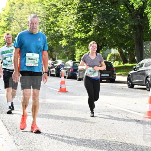20.09.2026 - PSD Bank Halbmarathon Dr. Thomas Lammeyer http://msf.ph/oto/10509763 20.09.2026 11:05:55 Laufen 130, 2569, 2146, 2145 meine-sportfotos.de