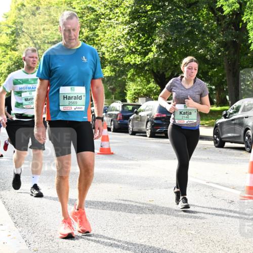 20.09.2026 - PSD Bank Halbmarathon Dr. Thomas Lammeyer http://msf.ph/oto/10509777 20.09.2026 11:05:56 Laufen 130, 2569, 2146 meine-sportfotos.de