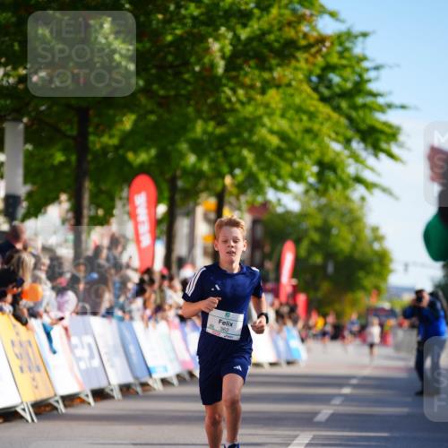 20.09.2026 - PSD Bank Halbmarathon LAZAROV Photography http://msf.ph/oto/10509806 20.09.2026 10:28:41 Laufen 362 meine-sportfotos.de