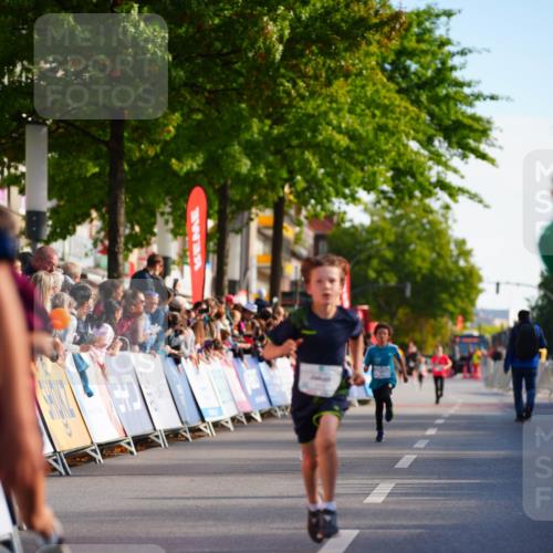 20.09.2026 - PSD Bank Halbmarathon LAZAROV Photography http://msf.ph/oto/10509949 20.09.2026 10:29:01 Laufen  meine-sportfotos.de