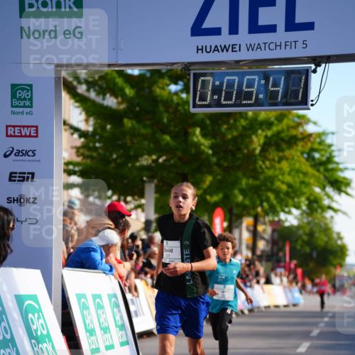 20.09.2026 - PSD Bank Halbmarathon LAZAROV Photography http://msf.ph/oto/10509978 20.09.2026 10:29:05 Laufen 5, 0, 09, 48, 301 meine-sportfotos.de