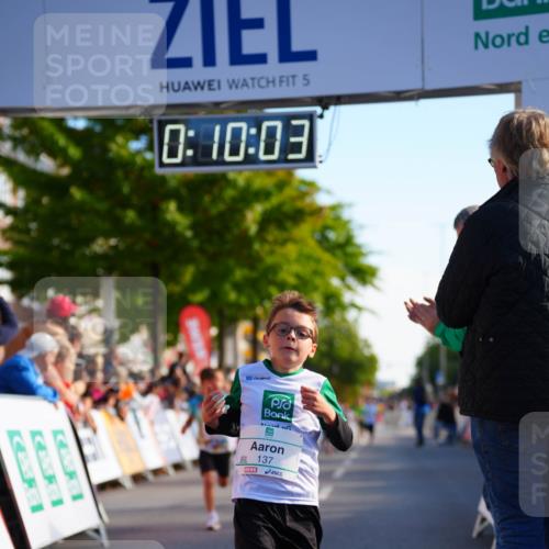 20.09.2026 - PSD Bank Halbmarathon LAZAROV Photography http://msf.ph/oto/10510113 20.09.2026 10:29:27 Laufen 5, 0, 10, 03, 2630, 137 meine-sportfotos.de