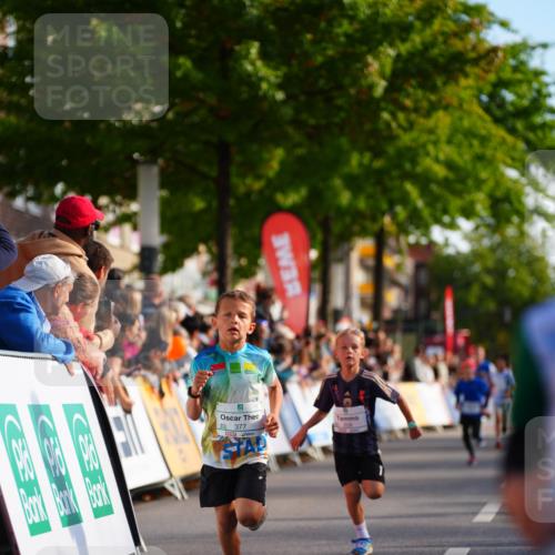 20.09.2026 - PSD Bank Halbmarathon LAZAROV Photography http://msf.ph/oto/10510118 20.09.2026 10:29:28 Laufen  meine-sportfotos.de