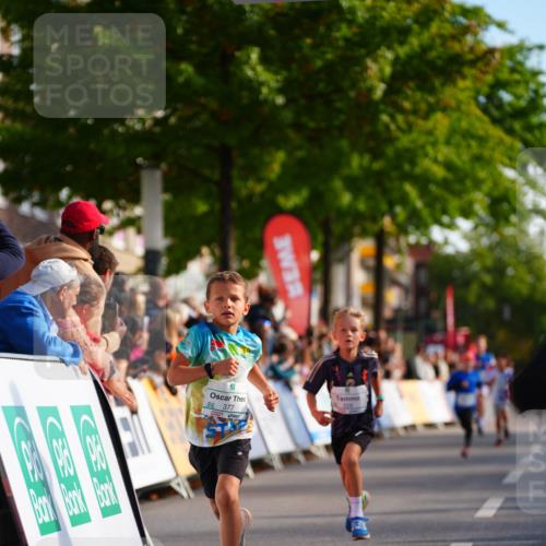 20.09.2026 - PSD Bank Halbmarathon LAZAROV Photography http://msf.ph/oto/10510123 20.09.2026 10:29:28 Laufen  meine-sportfotos.de