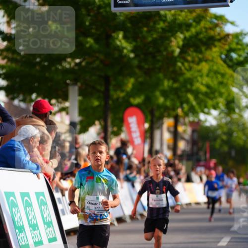 20.09.2026 - PSD Bank Halbmarathon LAZAROV Photography http://msf.ph/oto/10510129 20.09.2026 10:29:29 Laufen 377 meine-sportfotos.de