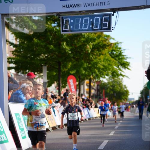 20.09.2026 - PSD Bank Halbmarathon LAZAROV Photography http://msf.ph/oto/10510135 20.09.2026 10:29:29 Laufen 377, 5, 0, 40, 05 meine-sportfotos.de