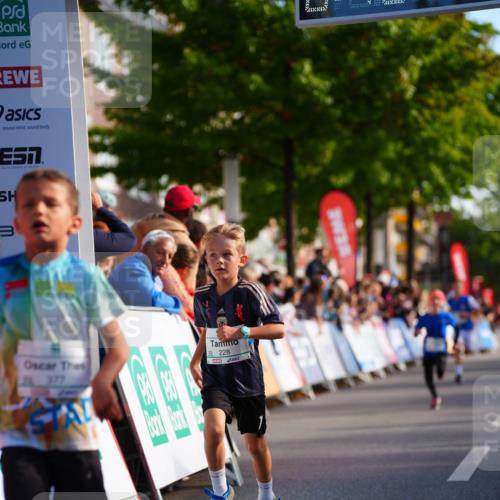 20.09.2026 - PSD Bank Halbmarathon LAZAROV Photography http://msf.ph/oto/10510151 20.09.2026 10:29:30 Laufen 3, 577, 228 meine-sportfotos.de