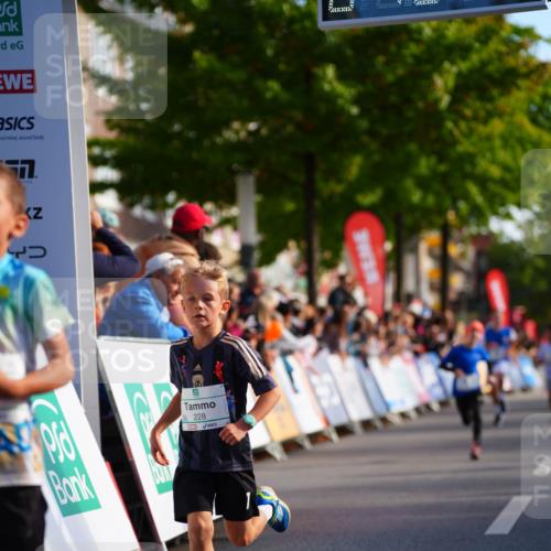 20.09.2026 - PSD Bank Halbmarathon LAZAROV Photography http://msf.ph/oto/10510157 20.09.2026 10:29:30 Laufen 228 meine-sportfotos.de
