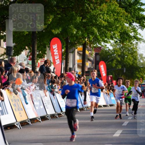 20.09.2026 - PSD Bank Halbmarathon LAZAROV Photography http://msf.ph/oto/10510167 20.09.2026 10:29:31 Laufen  meine-sportfotos.de