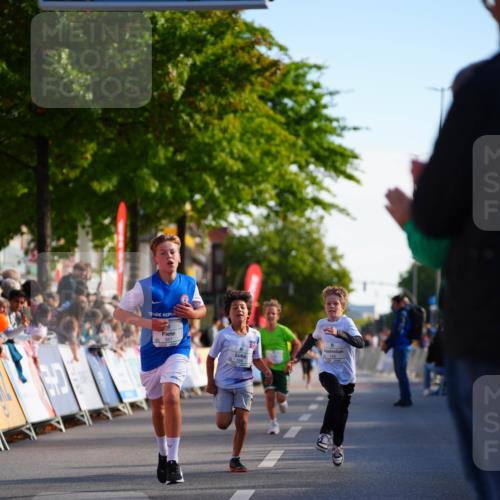 20.09.2026 - PSD Bank Halbmarathon LAZAROV Photography http://msf.ph/oto/10510193 20.09.2026 10:29:34 Laufen 140, 368 meine-sportfotos.de