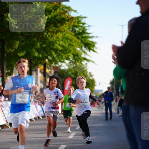 20.09.2026 - PSD Bank Halbmarathon LAZAROV Photography http://msf.ph/oto/10510200 20.09.2026 10:29:34 Laufen 357, 368, 140 meine-sportfotos.de