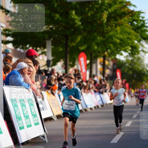20.09.2026 - PSD Bank Halbmarathon LAZAROV Photography http://msf.ph/oto/10510325 20.09.2026 10:29:50 Laufen 202 meine-sportfotos.de