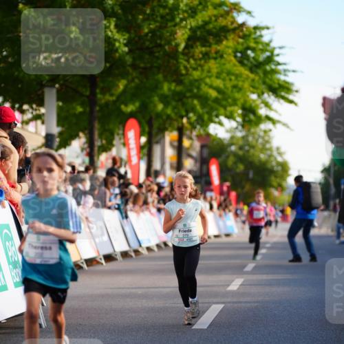 20.09.2026 - PSD Bank Halbmarathon LAZAROV Photography http://msf.ph/oto/10510331 20.09.2026 10:29:50 Laufen 279 meine-sportfotos.de