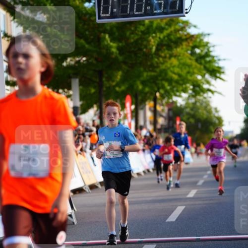 20.09.2026 - PSD Bank Halbmarathon LAZAROV Photography http://msf.ph/oto/10510516 20.09.2026 10:30:15 Laufen 116 meine-sportfotos.de