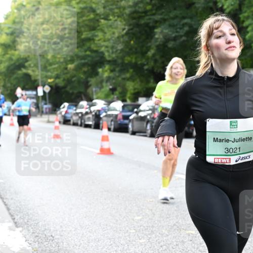 20.09.2026 - PSD Bank Halbmarathon Dr. Thomas Lammeyer http://msf.ph/oto/10510567 20.09.2026 11:06:32 Laufen 3021 meine-sportfotos.de