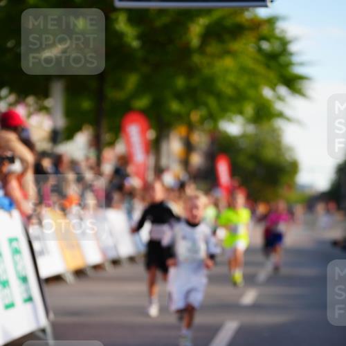 20.09.2026 - PSD Bank Halbmarathon LAZAROV Photography http://msf.ph/oto/10510678 20.09.2026 10:30:32 Laufen  meine-sportfotos.de