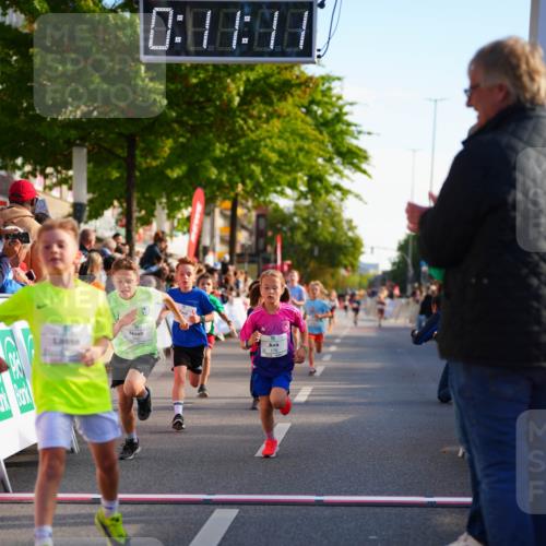 20.09.2026 - PSD Bank Halbmarathon LAZAROV Photography http://msf.ph/oto/10510707 20.09.2026 10:30:36 Laufen  meine-sportfotos.de